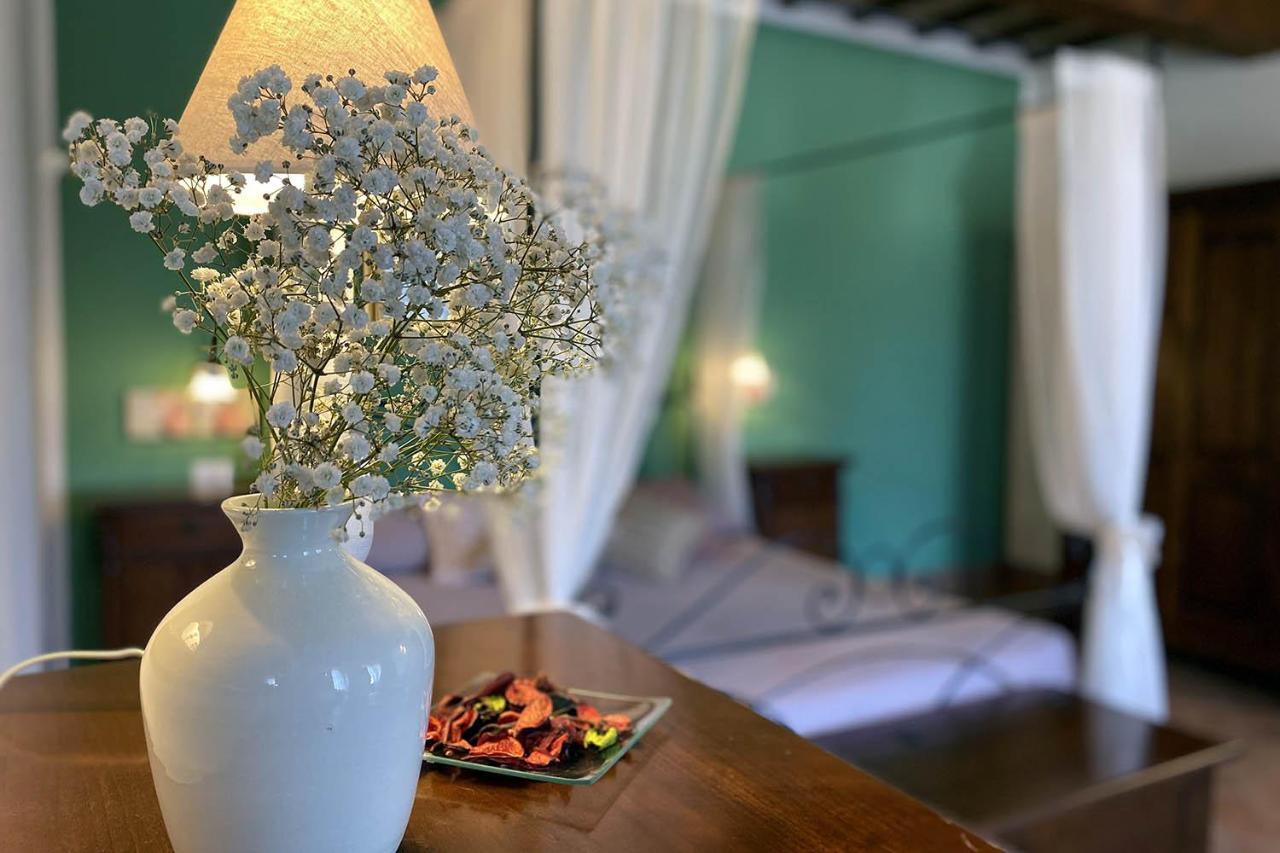 Il Poggio Della Pieve Apartments 圣塔·卢斯 外观 照片